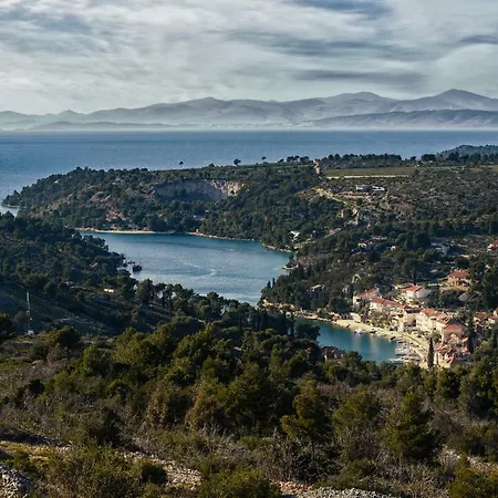 Lavanda Milna (Brac)