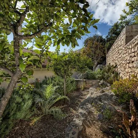 Villa Lavanda Milna (Brac)